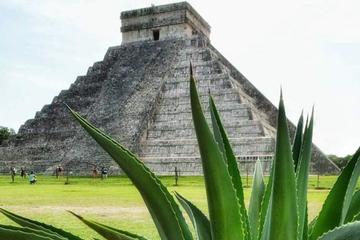 Coba and Chichen Itza Private Tour with Lunch, Cenote Ik Kil
