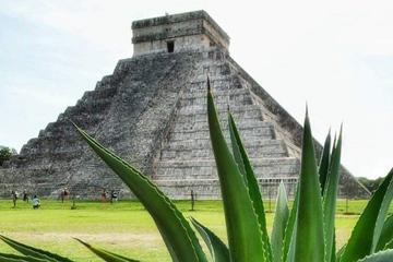 Private Day Trip: Ek Balam and Chichen Itza with Cenote and Tequila Factory