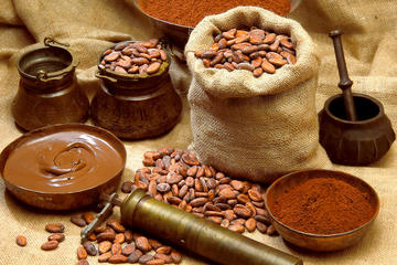 Private experience: Chocolate Maya Ceremony and Temazcal Maya Ritual