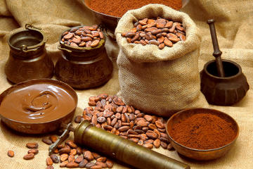 Private experience: Chocolate Maya Ceremony