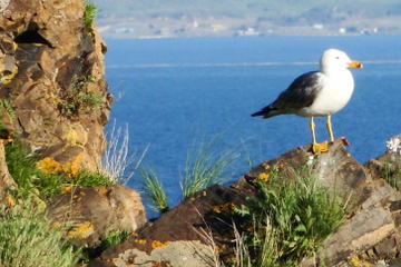 Day Tour to Sevan Lake, Tsakhkadzor Rope Way and Kecharis Monastery in Armenia