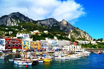 Full-Day Capri Highlights Tour from Naples