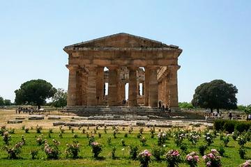 Paestum and Mozzarella tasting
