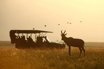 Tanzania Family Adventure Safari - 15 Days