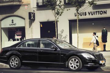 Private Arrival Transfer: Brussels Railway Station to Hotel