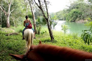 Horseback Riding and Tour in San Lorenzo Organic Farm