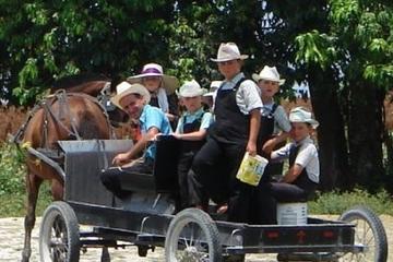 Maya Village and Mennonites of Barton Creek Cultural Tour