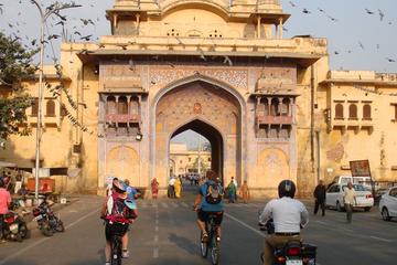 Cyclin'Jaipur -  Explore the city on a cycle!