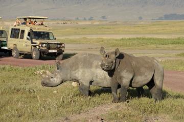 2-Day Short Safari to Tarangire and Ngorongoro Crater