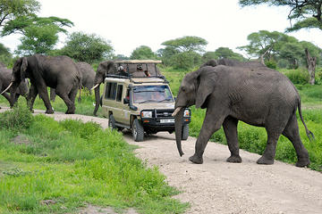 3 days - Wildebeests Safari to Tarangire NP Ndutu Area Olduvai and Ngorongoro Crater