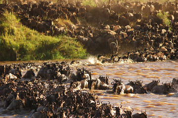 Backpackers Safari: 5-Day Guided Tour from Arusha
