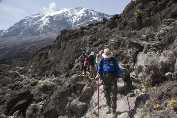 MOUNT KILIMANJARO - SHORT TREK