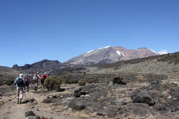 Mount Kilimanjaro Short Trek from Arusha