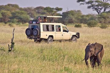 Full-Day Lake Manyara Tour from Arusha