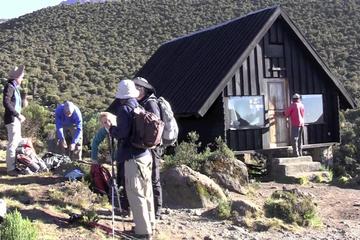 Mount Kilimanjaro Day Hike from Moshi Kilimanjaro- Marangu Route