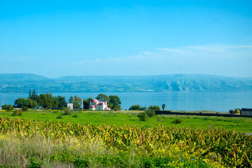 Biblical Highlights of the Galilee On A Small Group Tour From Tel Aviv