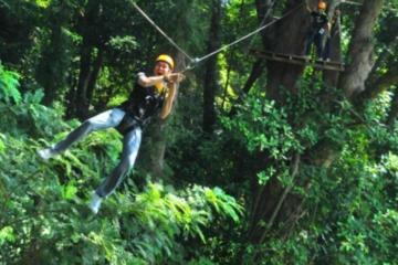 3-Hour Zip Line Jungle Adventure from Phuket