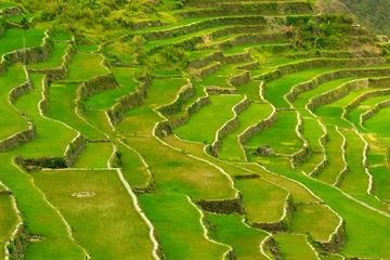 4 Days at Banaue Heritage Tour