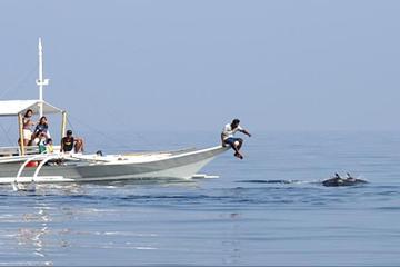 Full-Day Pamilacan Whale- and Dolphin-Spotting Tour