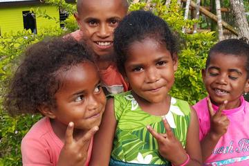 Half Day 4 hour Private Guided Tour: You choose where to go from Suva