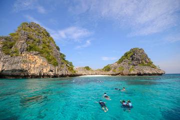 Full-Day Snorkel Tour to Koh Rok and Koh Ha from Krabi
