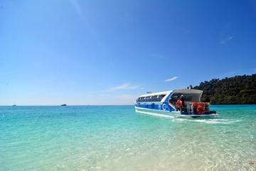 Full-Day Snorkel Trip to Koh Rok by Speedboat from Koh Lanta