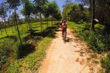 Krabi Countryside Eco Cycling Tour - Multiple Trails