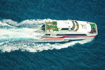 Phuket to Koh Tao by Coach and High Speed Catamaran