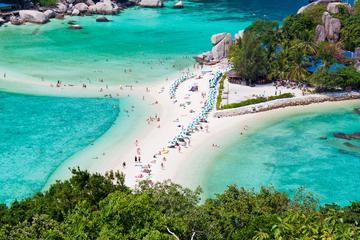 Snorkel Tour to Koh Nangyuan and Koh Tao by Speed Boat from Koh Samui