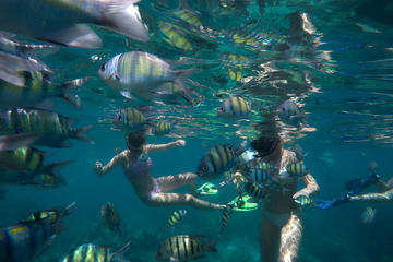 Snorkel Tour to Koh Phi Phi by Speed Boat from Koh Lanta