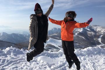 Full Day Snow Monkey and Snow Tour in the Shiga-kogen Highlands in Nagano