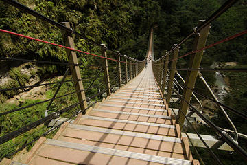 Nantou Walking On Sky Ladder Day Tour from Taichung