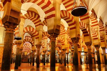 Historical Cordoba Guided Walking Tour