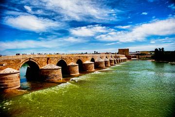 Monumental Cordoba: Guided 3-Hour Walking Tour