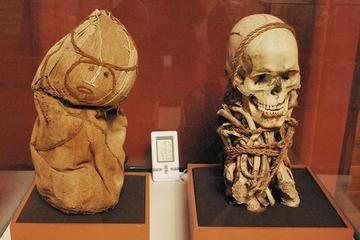 Half day tour to the: Inca Museum, Koricancha (Sun Temple) and San Pedro Market