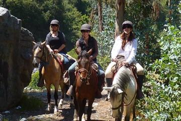 Horseback Riding Tour to Sacsayhuaman, Quenqo, Puka Pucara and Tambomachay