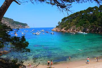 Girona and Costa Brava Small Group Tour with Hotel Pick-Up
