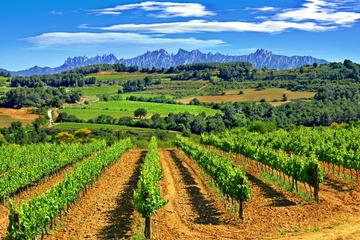 Montserrat and Penedès Small Group Tour with Hotel Pick Up from Barcelona