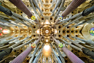 Private Barcelona and Sagrada Familia Half Day Tour with Hotel Pick-up