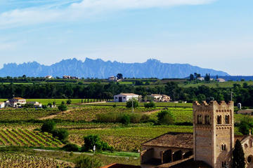 Private Montserrat and Penedes Day Tour form Barcelona