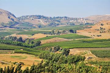 10-Day Israel Tour Including Petra from Tel Aviv