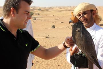 Private: Falcon 1 - Private Dubai Falconry Safari