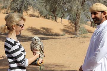 Small-Group: Falcon 2 - Dubai Falconry Safari