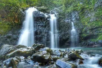 Maui Private Tour-Perfect Aloha day-Road to Hana