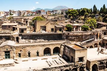 Herculaneum Ruins Private Half-Day Tour