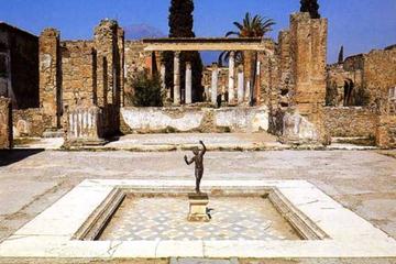 Pompeii Ruins Private Half-Day Tour