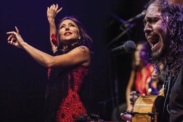Flamenco and Tapas Walking Tour in Seville