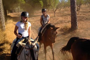 Horse Riding Excursion from Seville