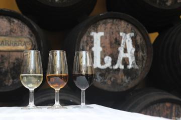 Wine Tour to Sanlucar de Barrameda from Seville with Optional Horse Riding