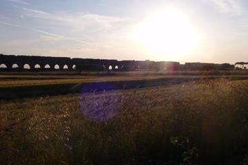 Roma su due ruote: tour in bici della